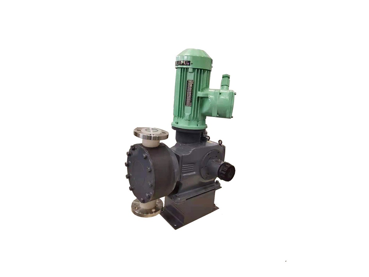 Ailipu JZM-D Mechanical Diaphragm Metering Pump
