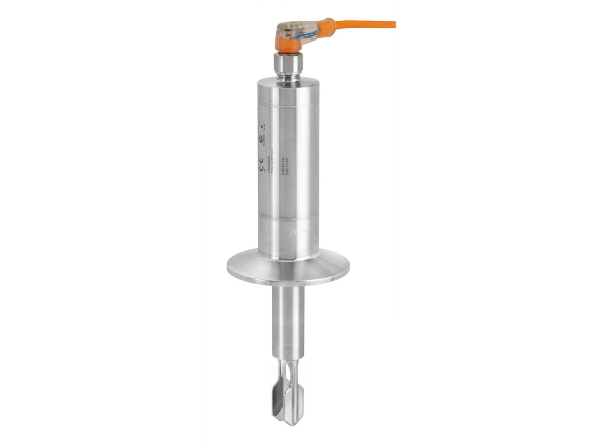 Endress+Hauser FTL33 Vibronic Point Level Switch for Liquids