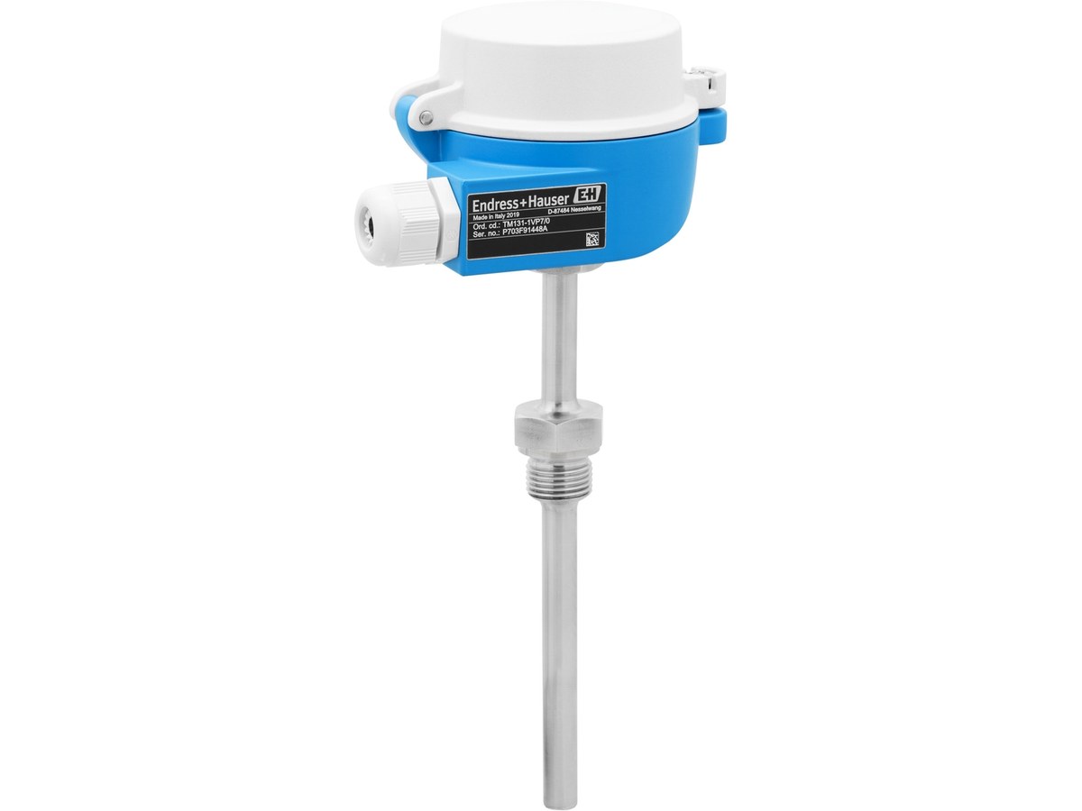 恩德斯豪斯 iTHERM ModuLine TM131 模块化工业温度计