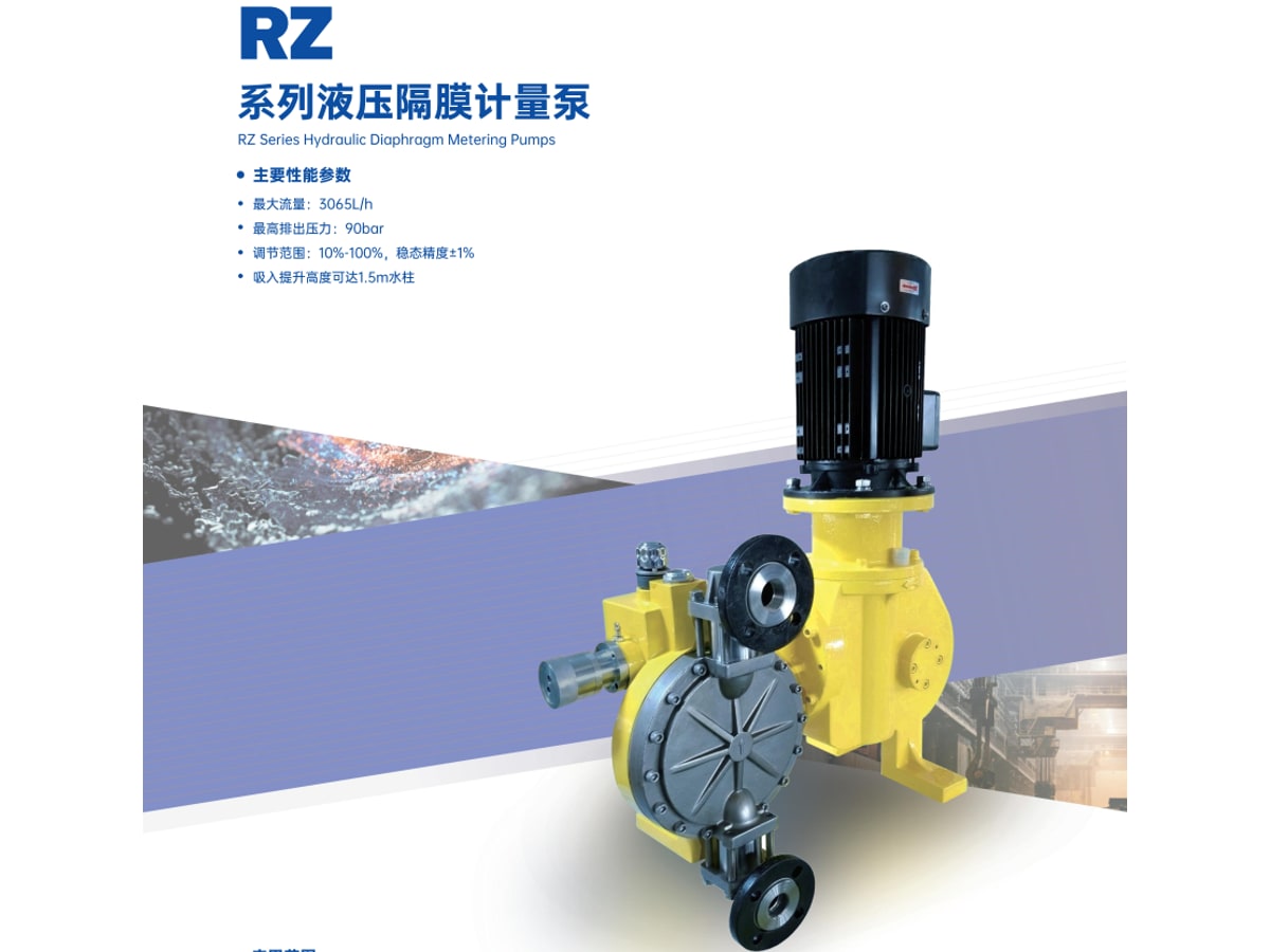 Nanfang Saibo RZ Hydraulic Diaphragm Metering Pump
