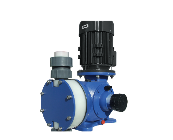 SEKO是什么公司？