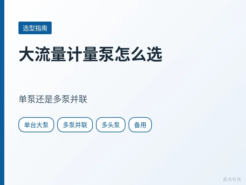 大流量计量泵选型文章封面，列出单台大泵、多泵并联、多头泵和备用
